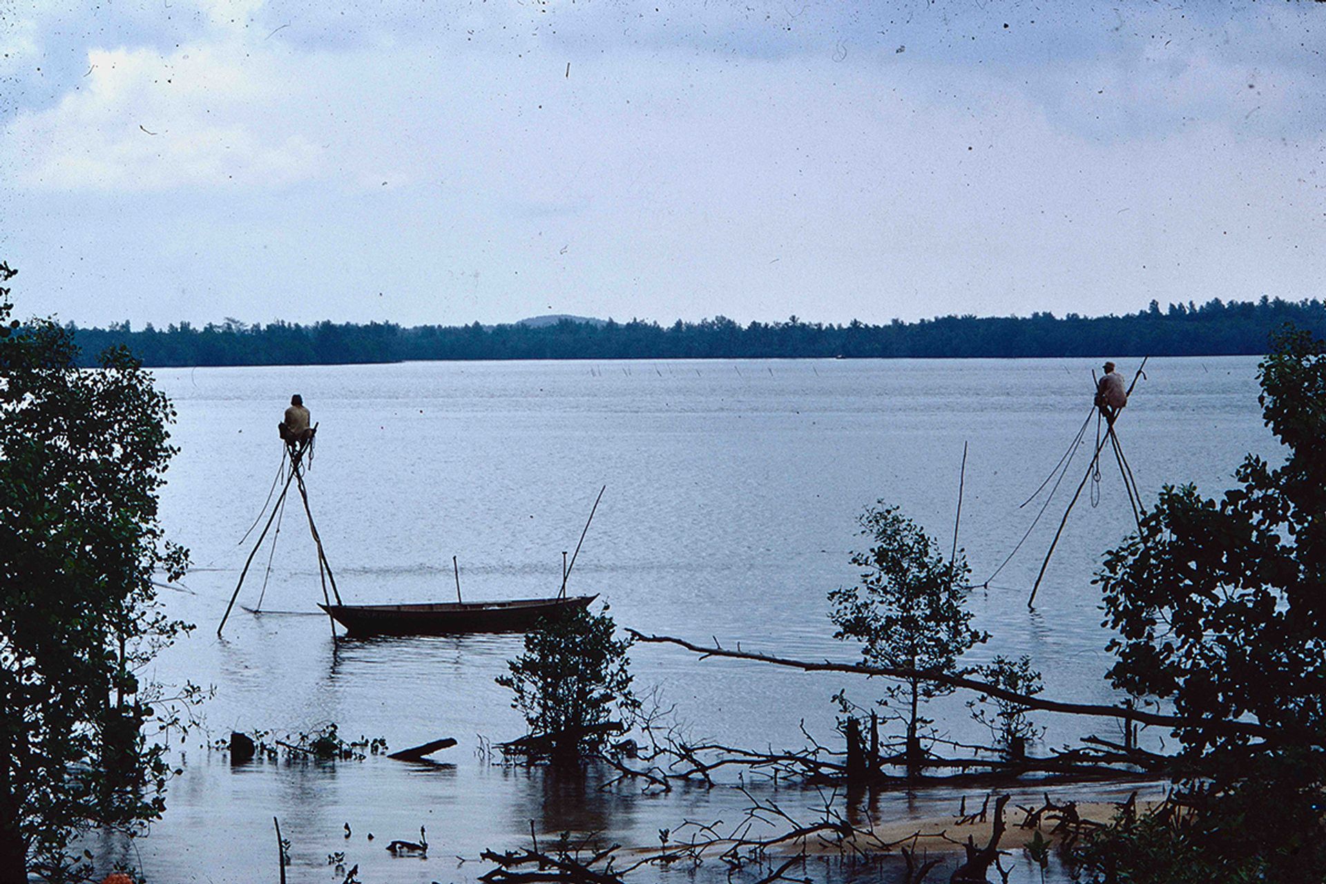 Photographed in the late 1960s, these fishermen, sitting atop their trestle perches, are holding on to two ends of a lift net which has been deployed. They wait patiently for a shoal of mullet to swim over the net, which is then hoisted or ‘lifted’ out of the water, catching the fish as it does so.