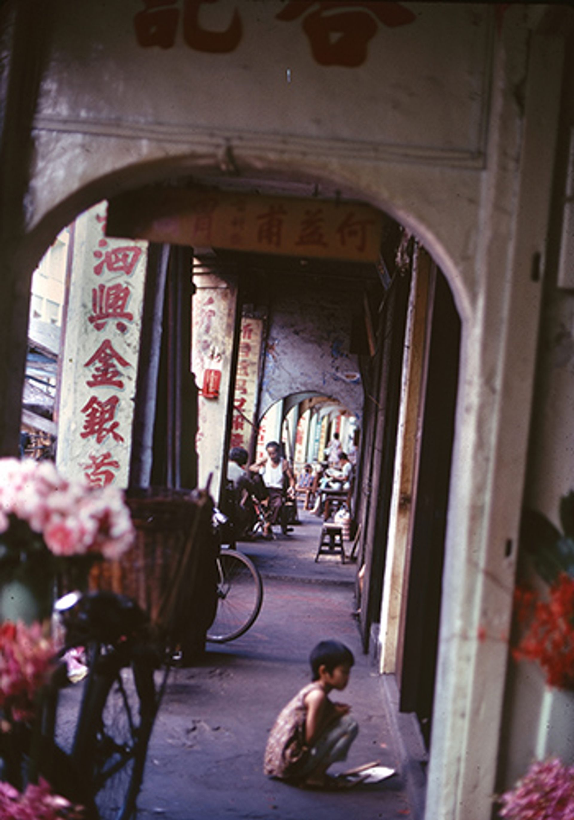 Chinatown five-foot way, taken in March 1974. Dr Polunin measured the breadth of a few of them and found that they were indeed 5 feet wide.