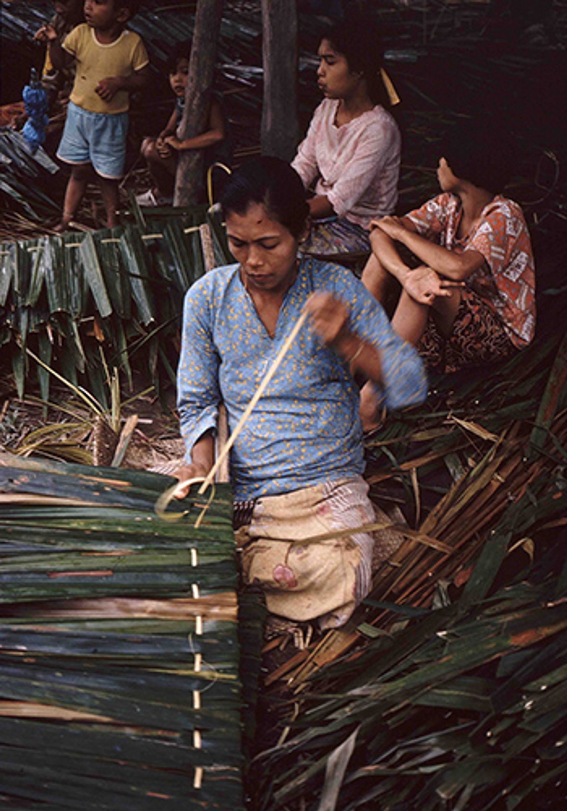 A woman stringing together attap leaves to build the canopy of an attap house, circa 1978.