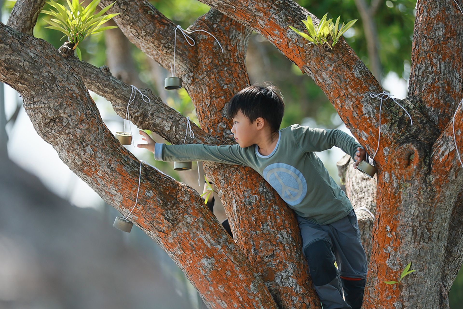 Tyler Foo climbs a tree and reaches for a hanging can during an outdoor challenge.