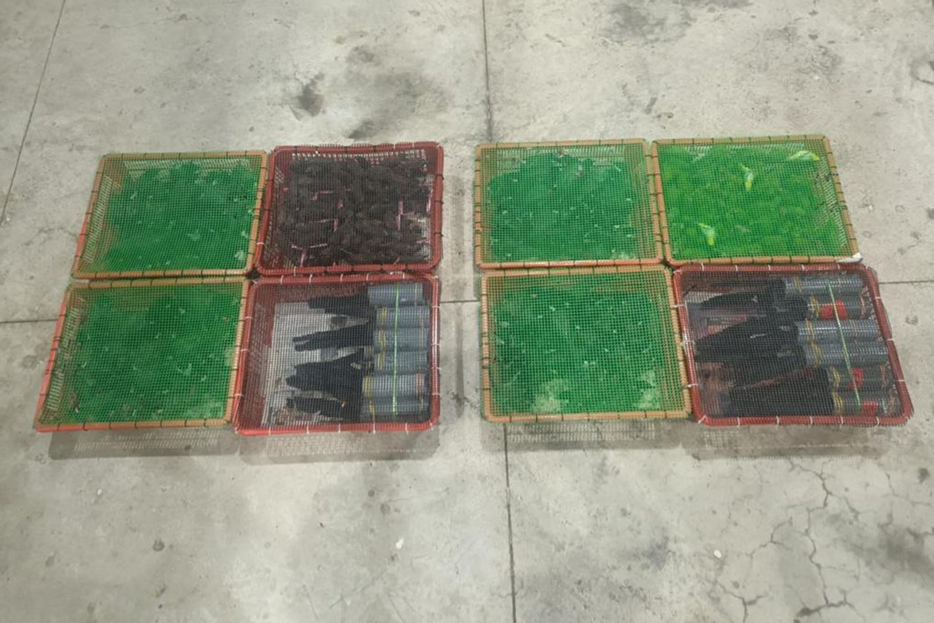 The authorities found 337 birds hidden underneath a makeshift bed behind the driver’s seat of a lorry entering Singapore via Tuas Checkpoint in March. They included 24 white-rumped shamas, a protected species that cannot be traded without a permit. PHOTO: NPARKS