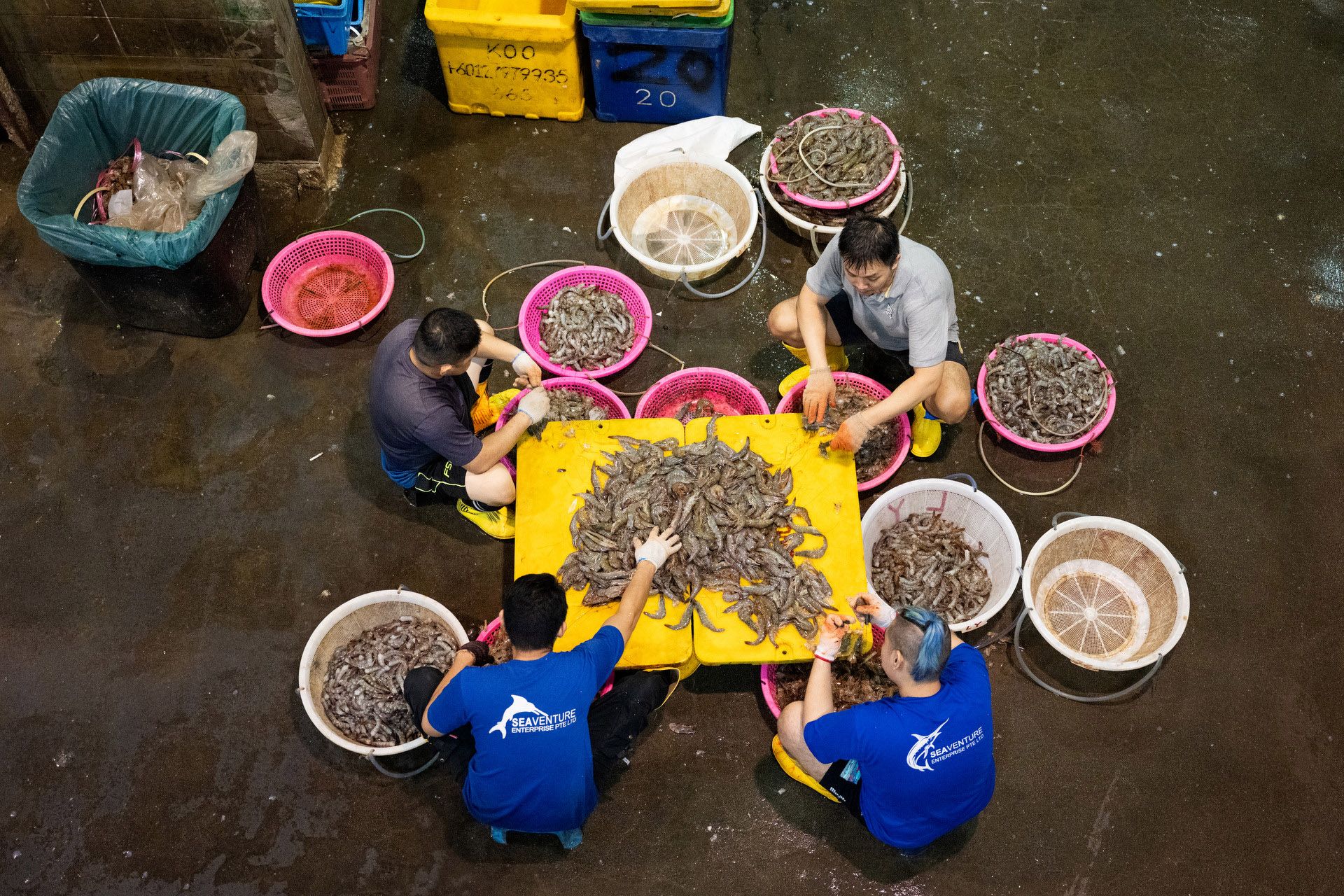 Workers sorting out prawns along the common area at Senoko Fishery Port.
