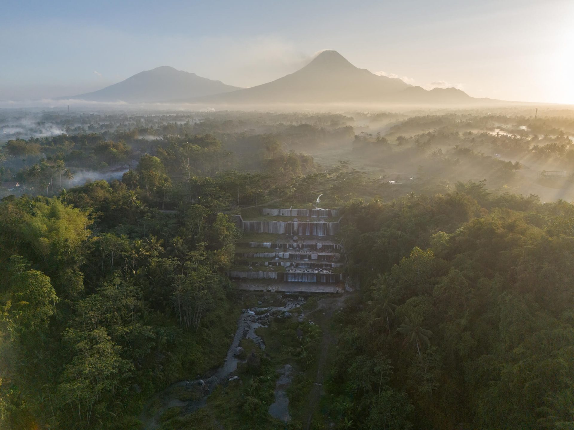 Hill station, Vegetation, Morning, Forest