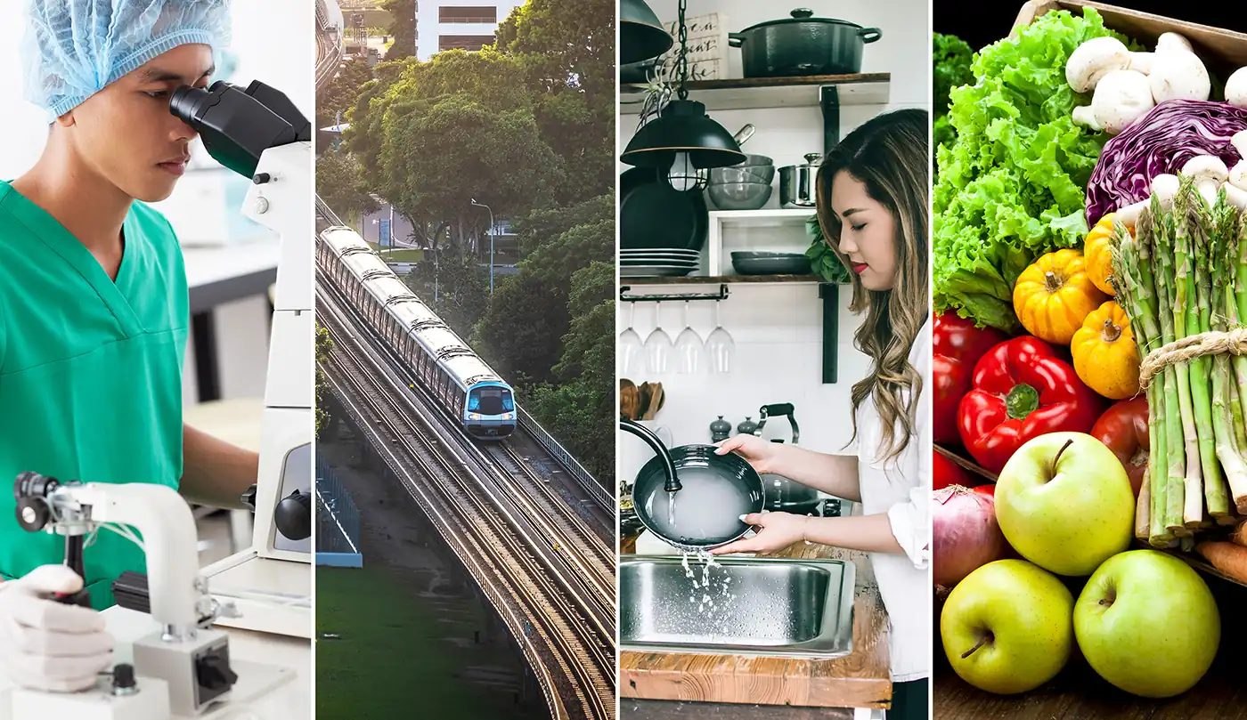 Collage of scientist with microscope, train, woman washing dishes, and fresh produce.