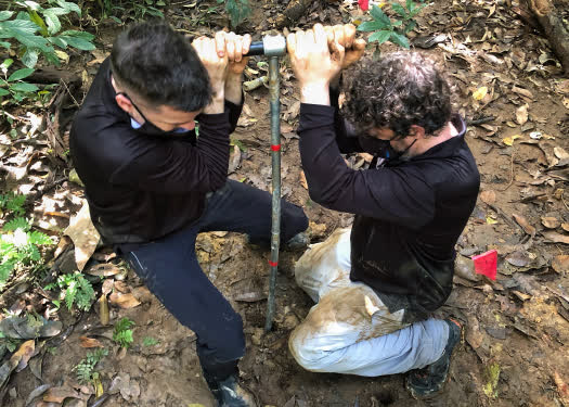 coresto shoe stretcher