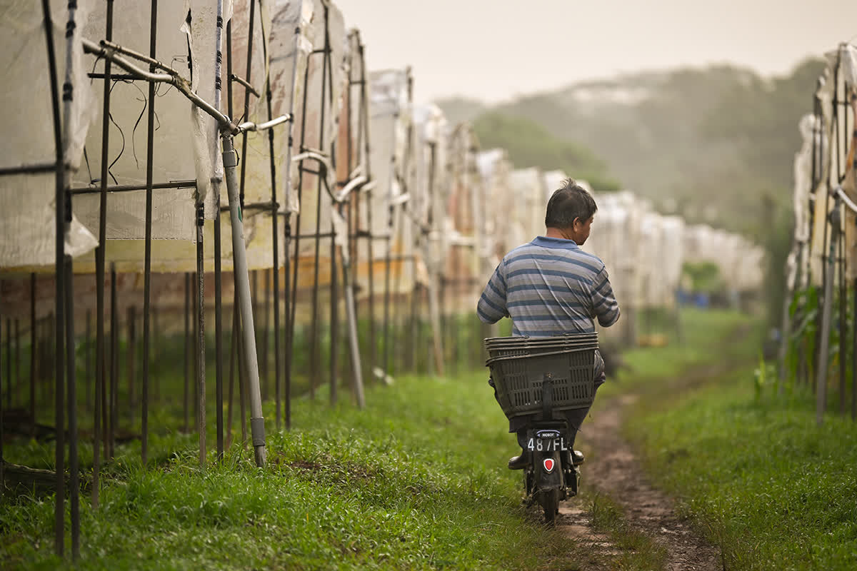 ST PHOTO: LIM YAOHUI