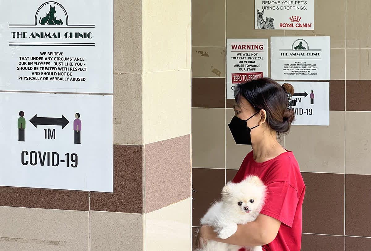 ST PHOTO: MALCOLM MCLEOD