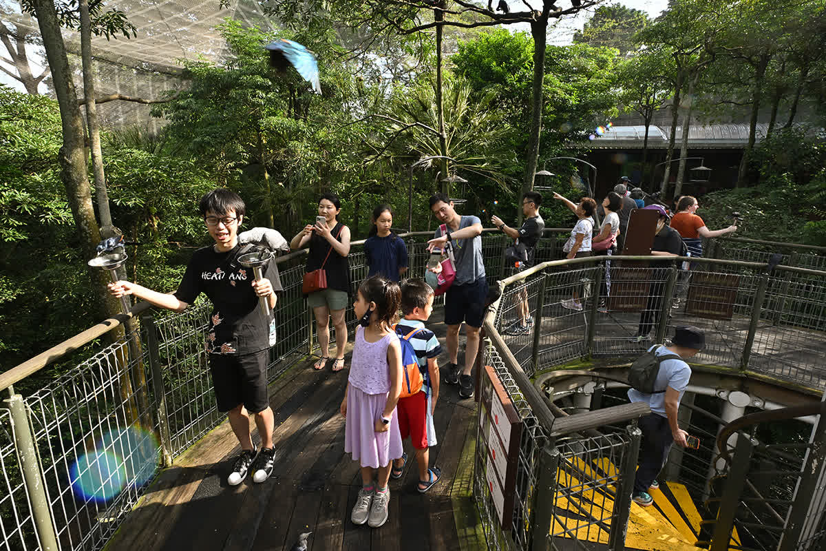 ST PHOTO: LIM YAOHUI