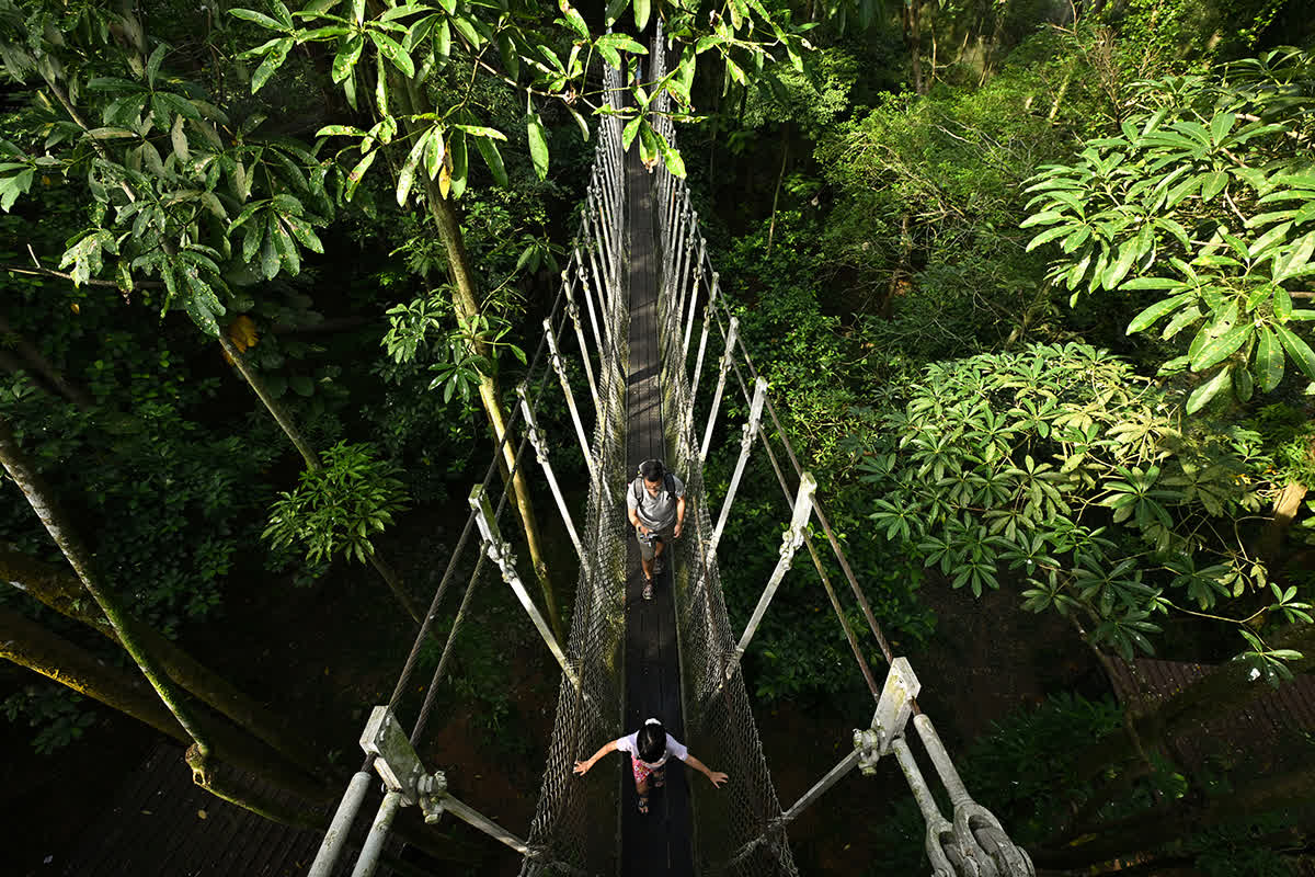 ST PHOTO: LIM YAOHUI