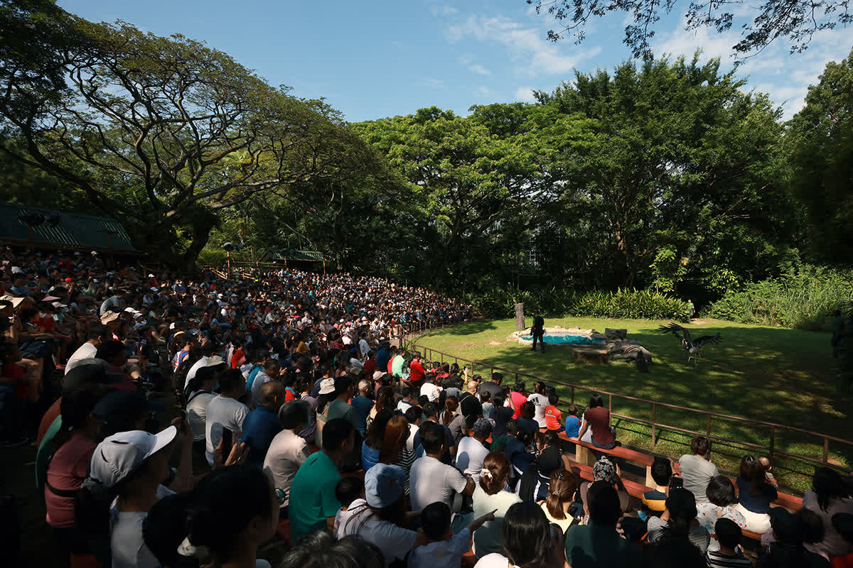 ST PHOTO: JASON QUAH