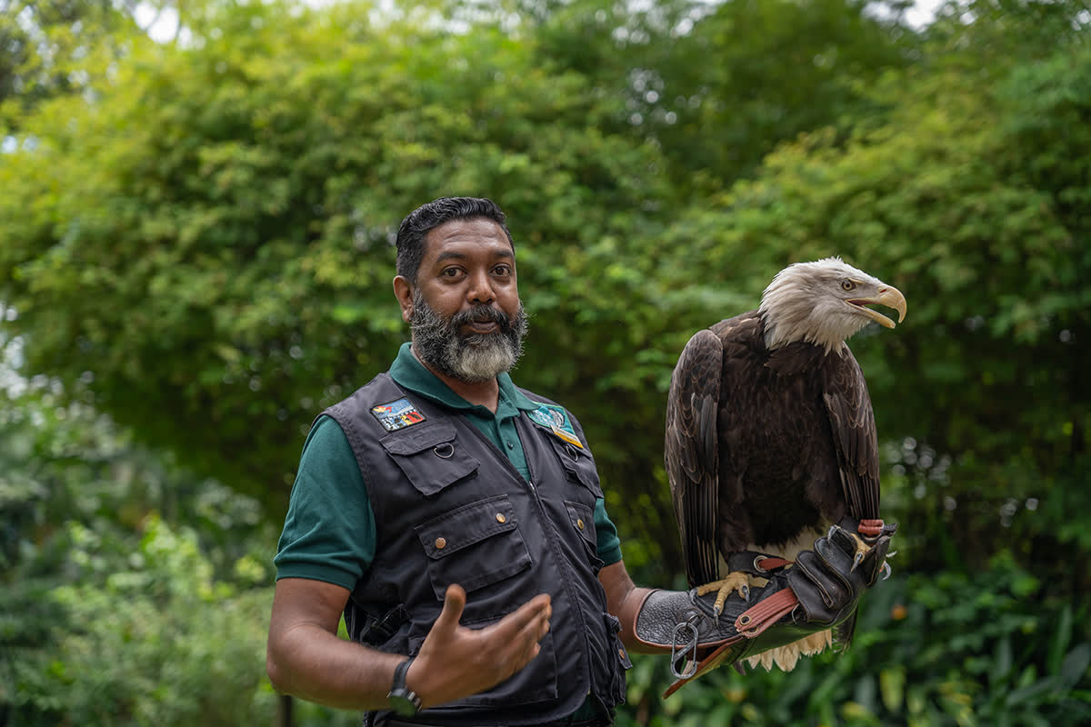 PHOTO: COURTESY OF MANDAI WILDLIFE GROUP