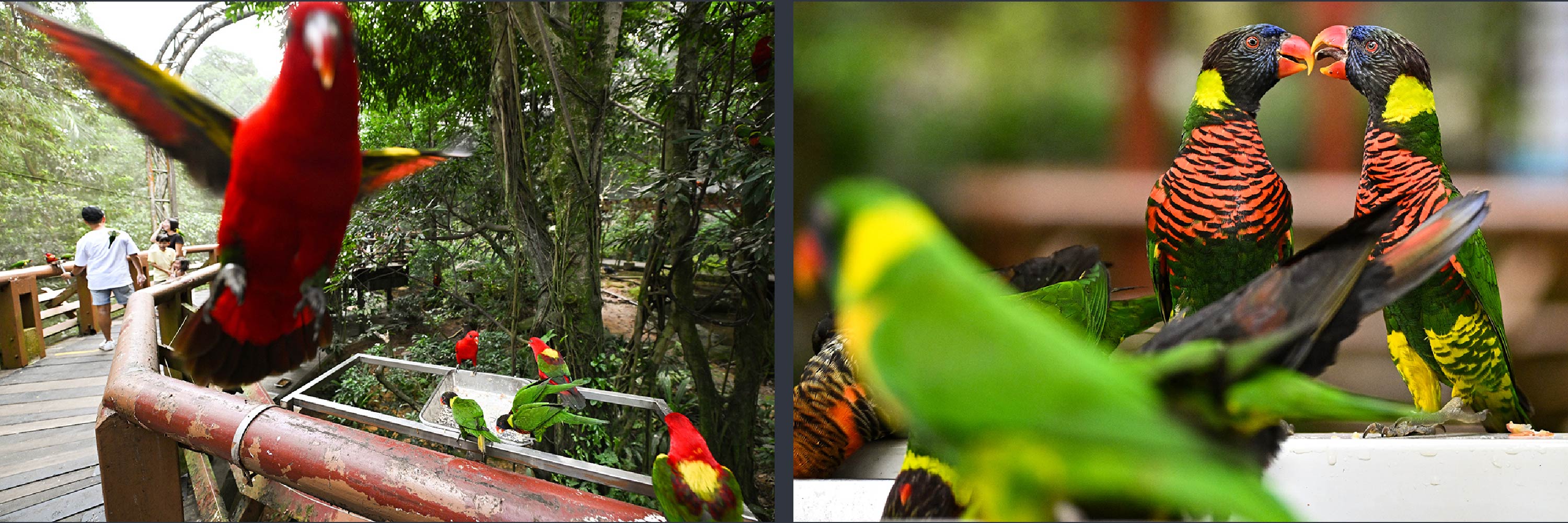 ST PHOTOS: LIM YAOHUI