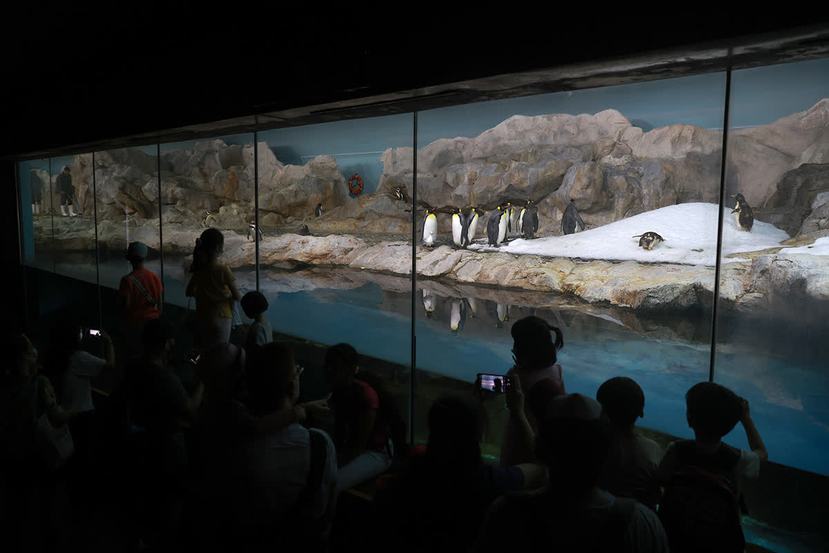 ST PHOTO: JASON QUAH