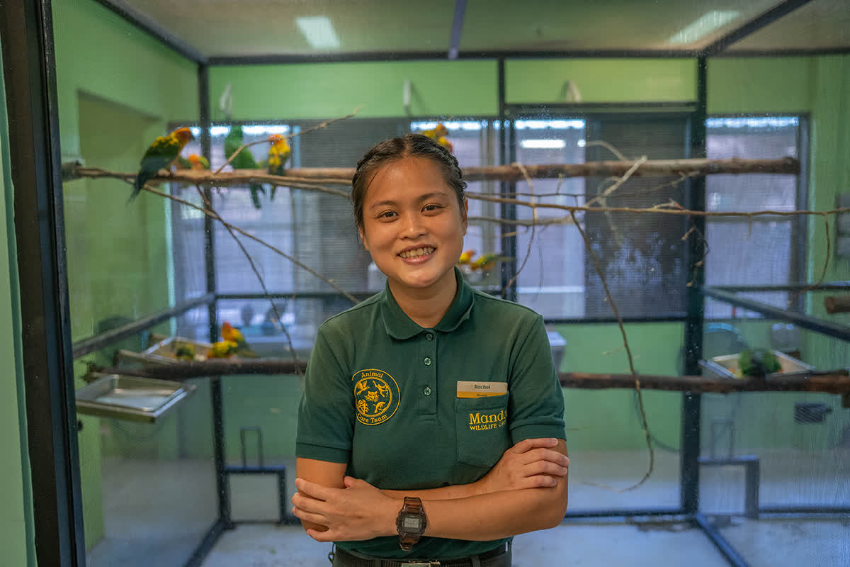 PHOTO: COURTESY OF MANDAI WILDLIFE GROUP