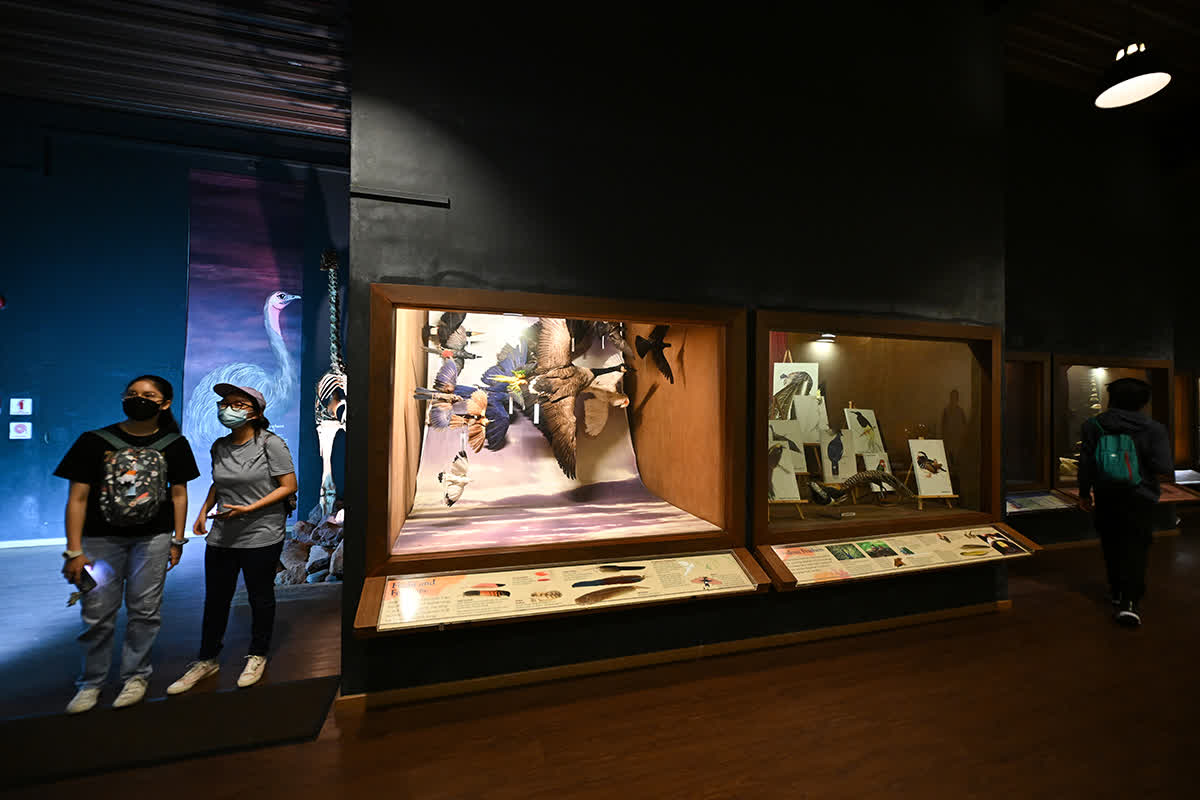 ST PHOTO: LIM YAOHUI