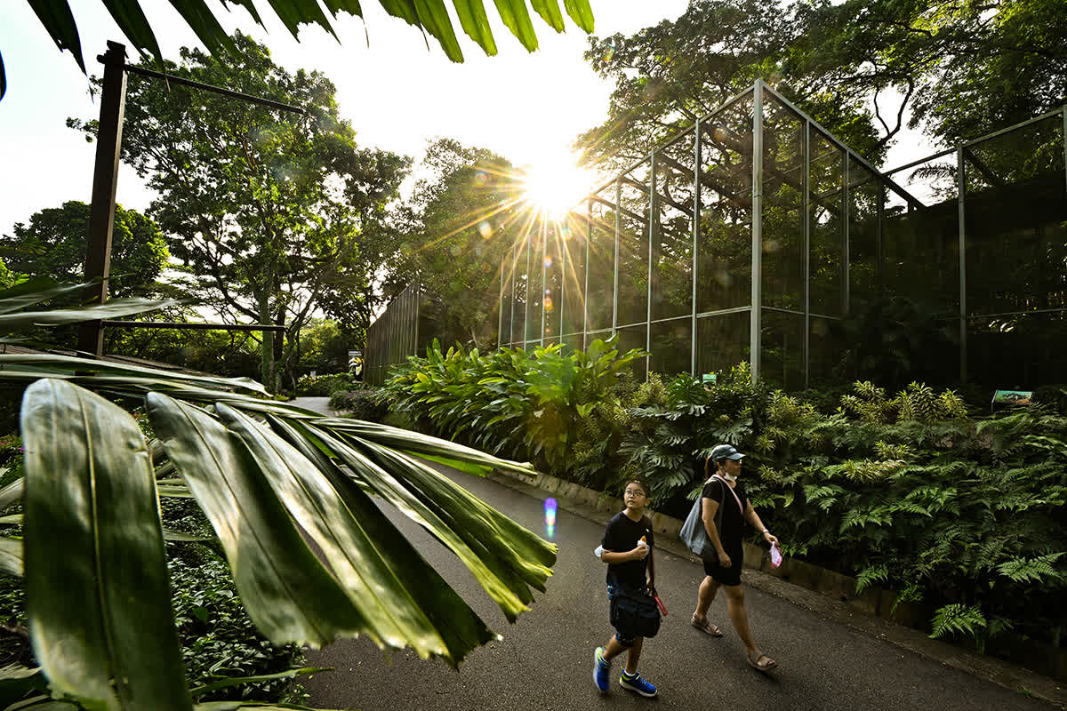 ST PHOTO: LIM YAOHUI