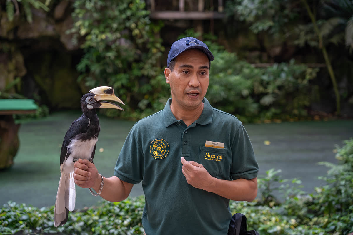 PHOTO: COURTESY OF MANDAI WILDLIFE GROUP