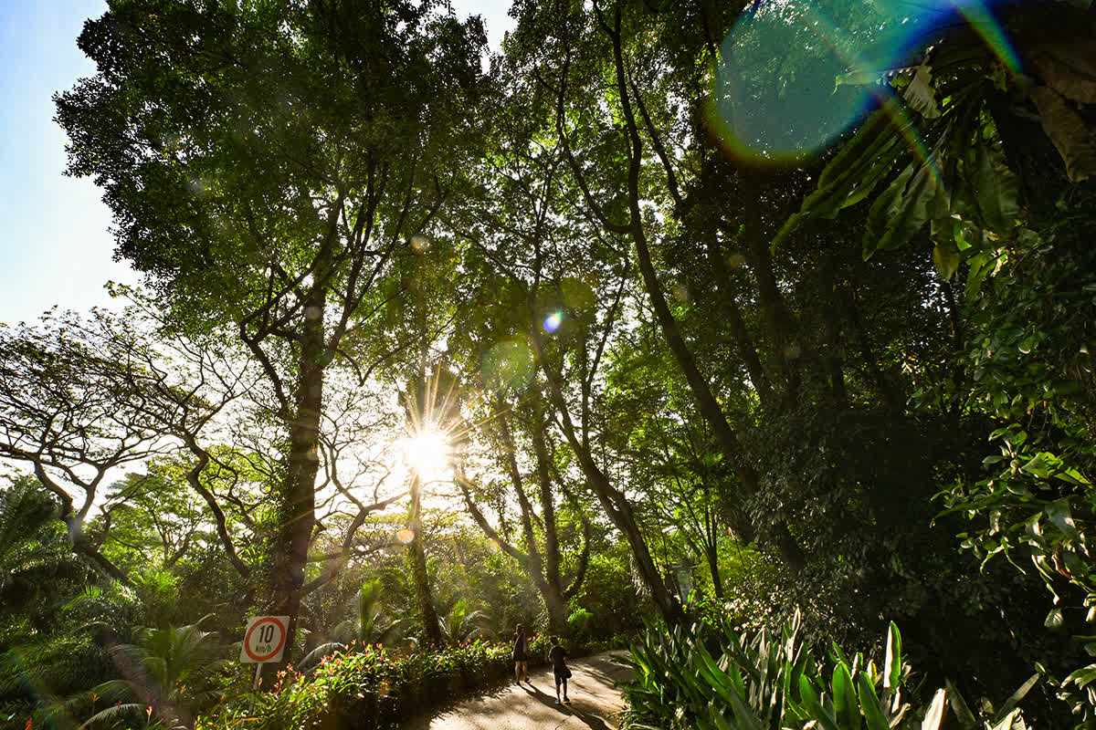 ST PHOTO: LIM YAOHUI