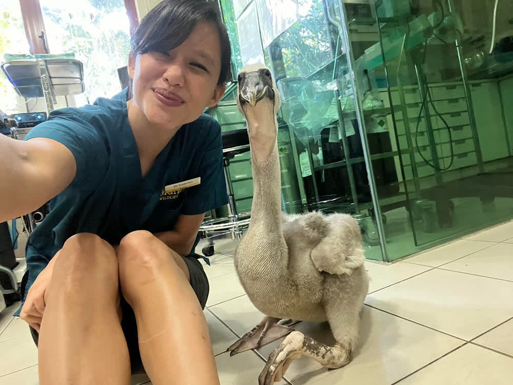 PHOTO: COURTESY OF MANDAI WILDLIFE GROUP