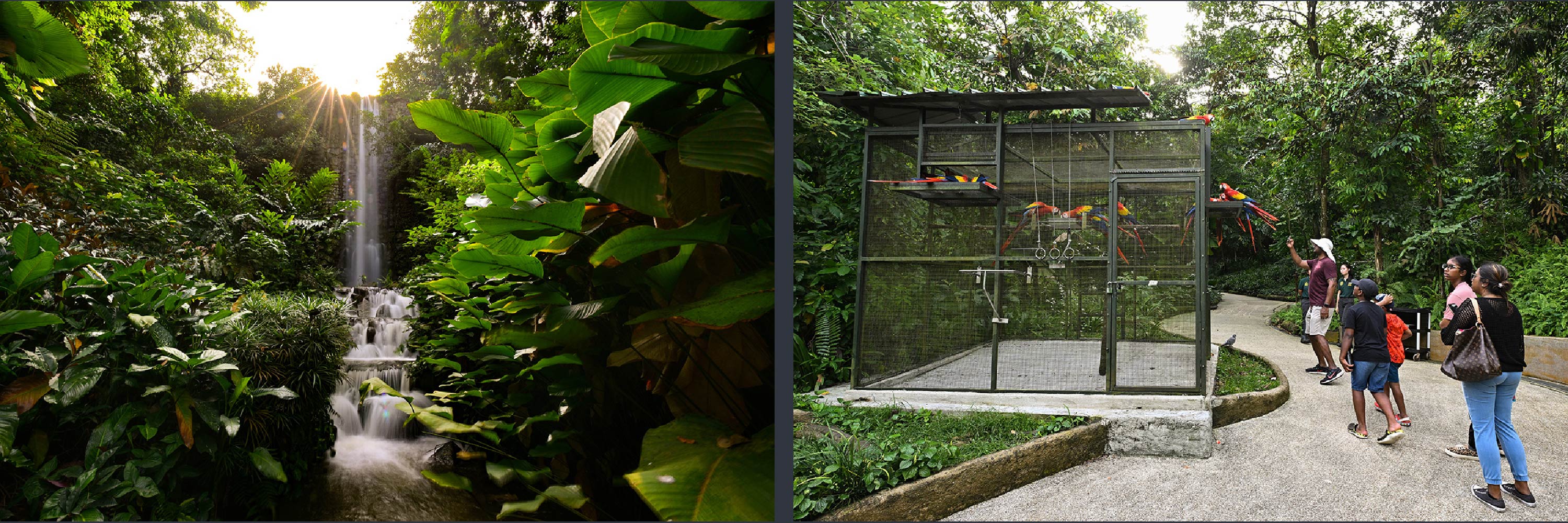 ST PHOTOS: LIM YAOHUI