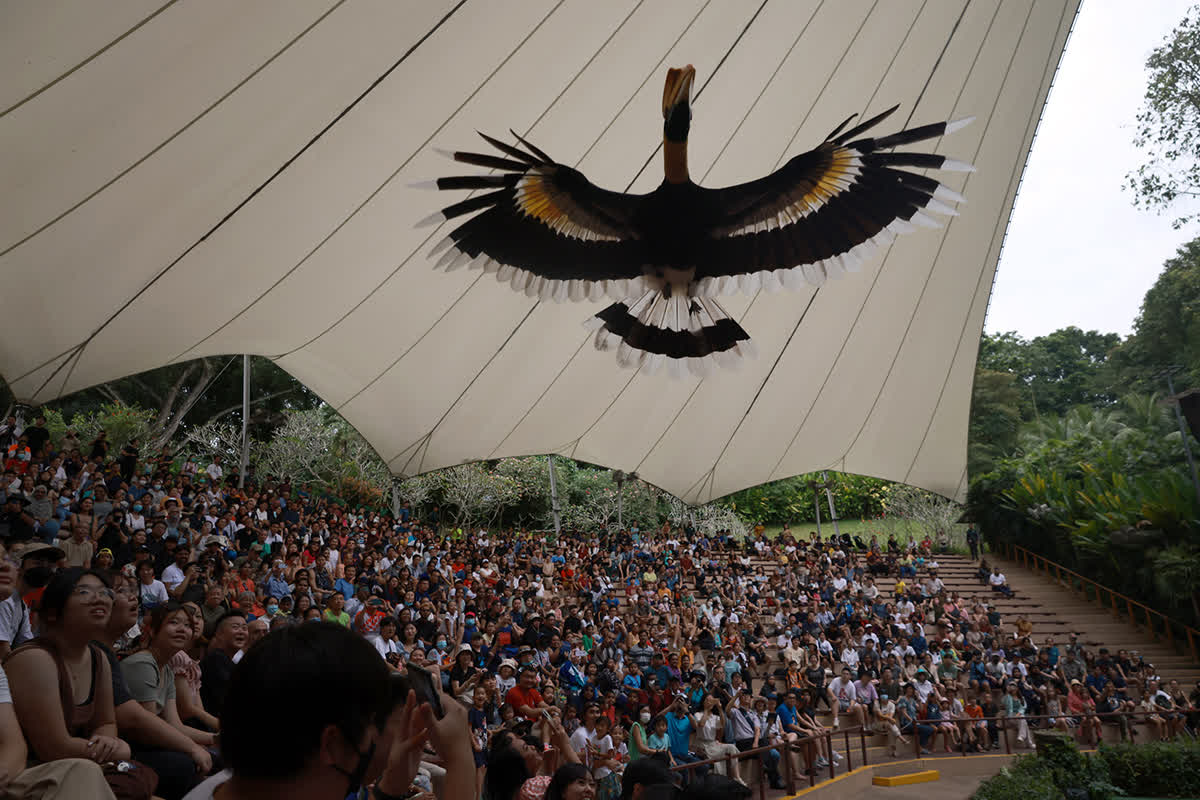 ST PHOTO: JASON QUAH