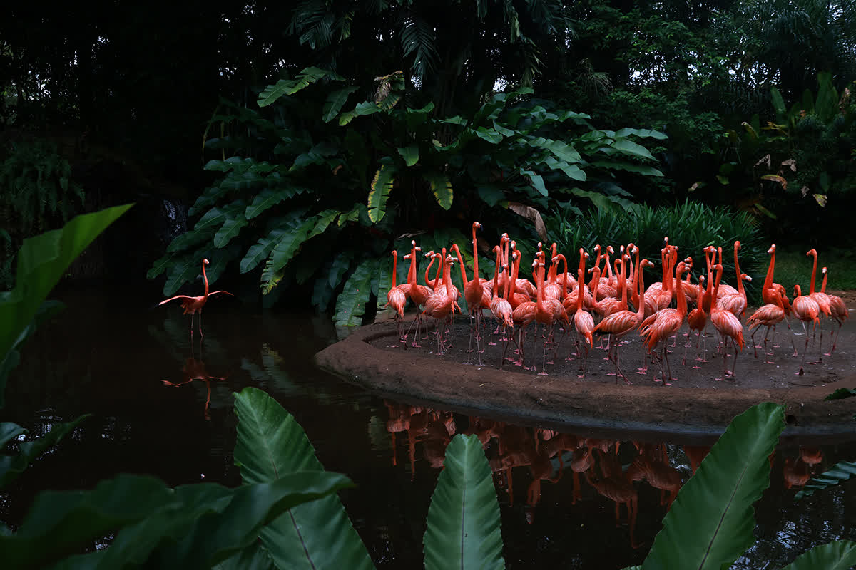 ST PHOTO: JASON QUAH