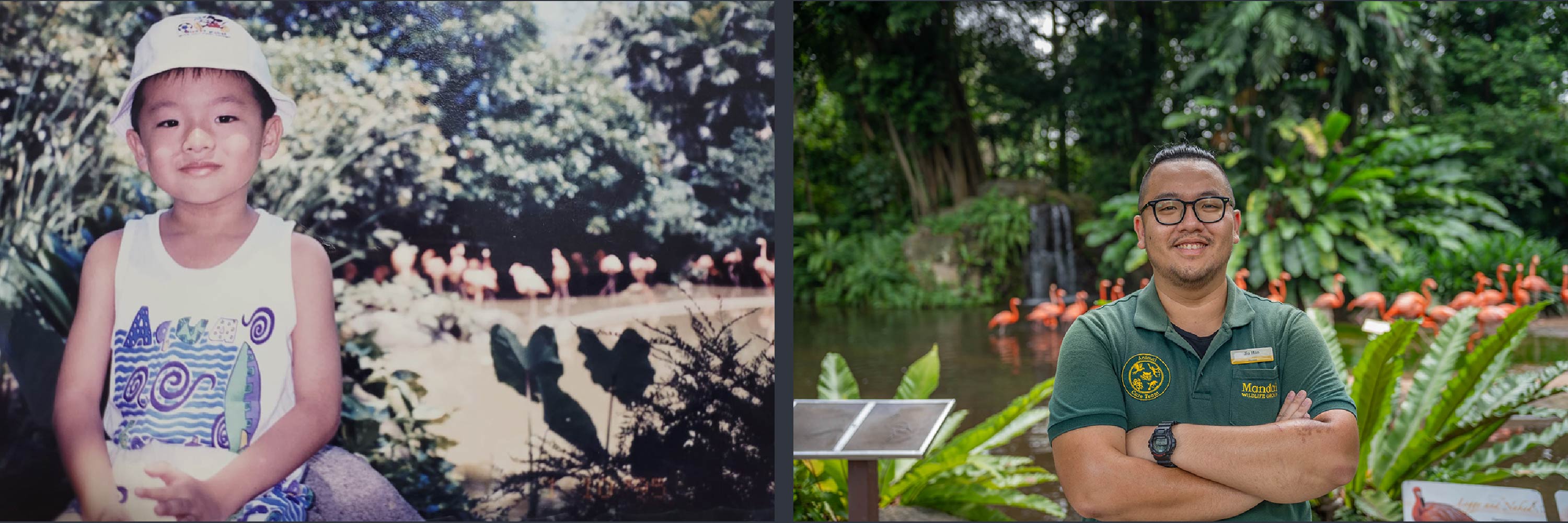 PHOTOS: COURTESY OF PANG JIA HAO, MANDAI WILDLIFE GROUP