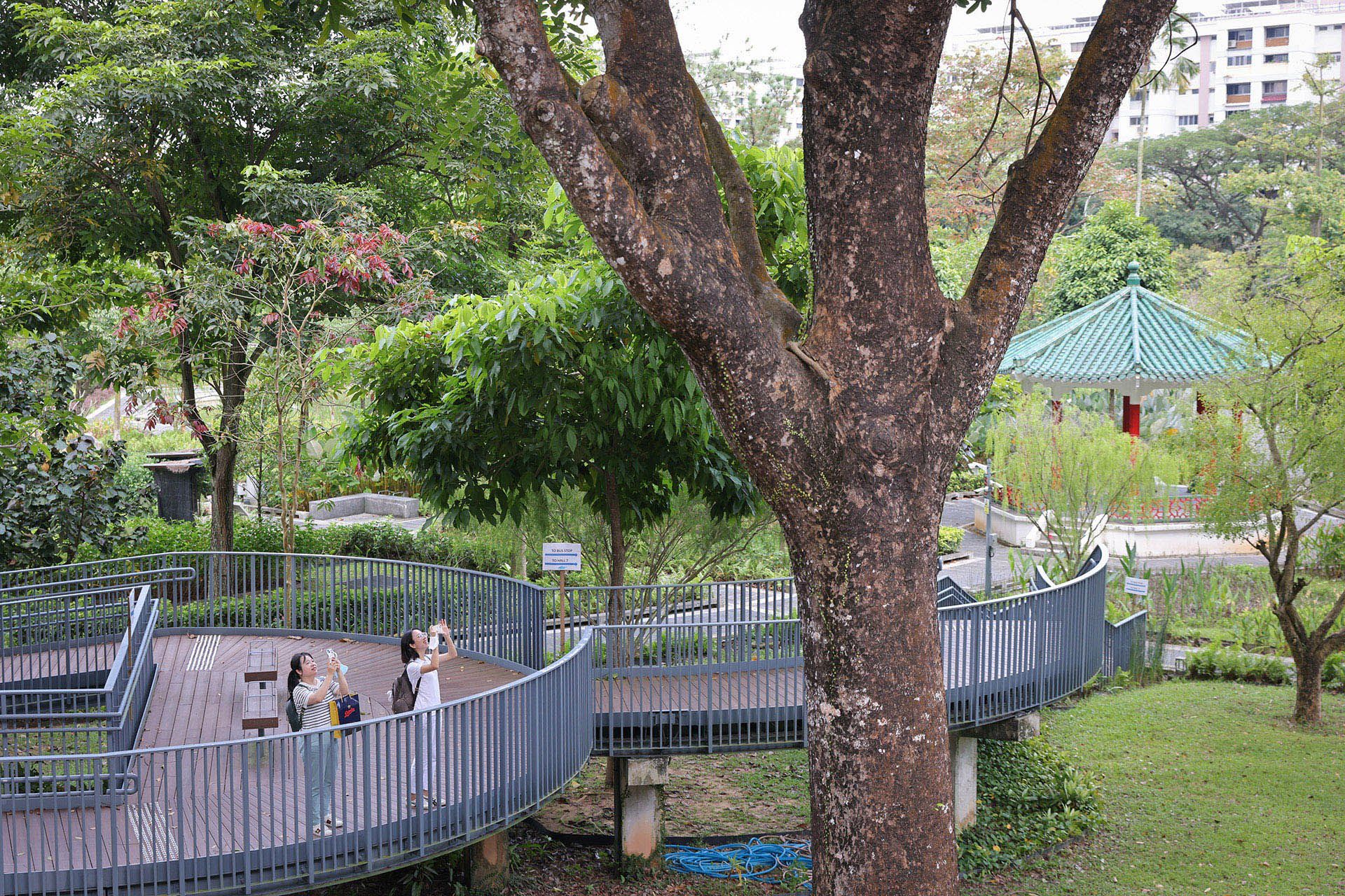 ST PHOTO: ONG WEE JIN