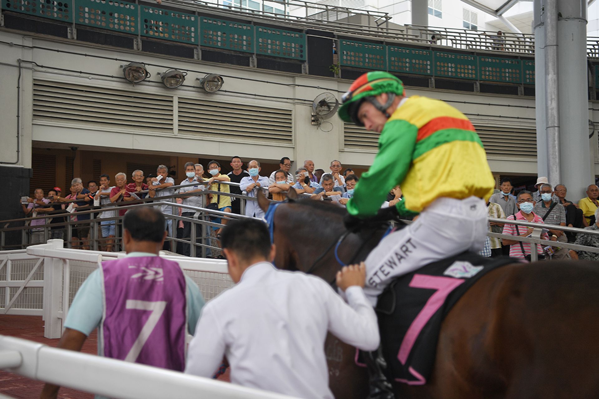 Jockey Ronnie Stewart and a horse named Sheesh make their way to the turf track from the parade ring on Sunday. ST PHOTO: SHINTARO TAY