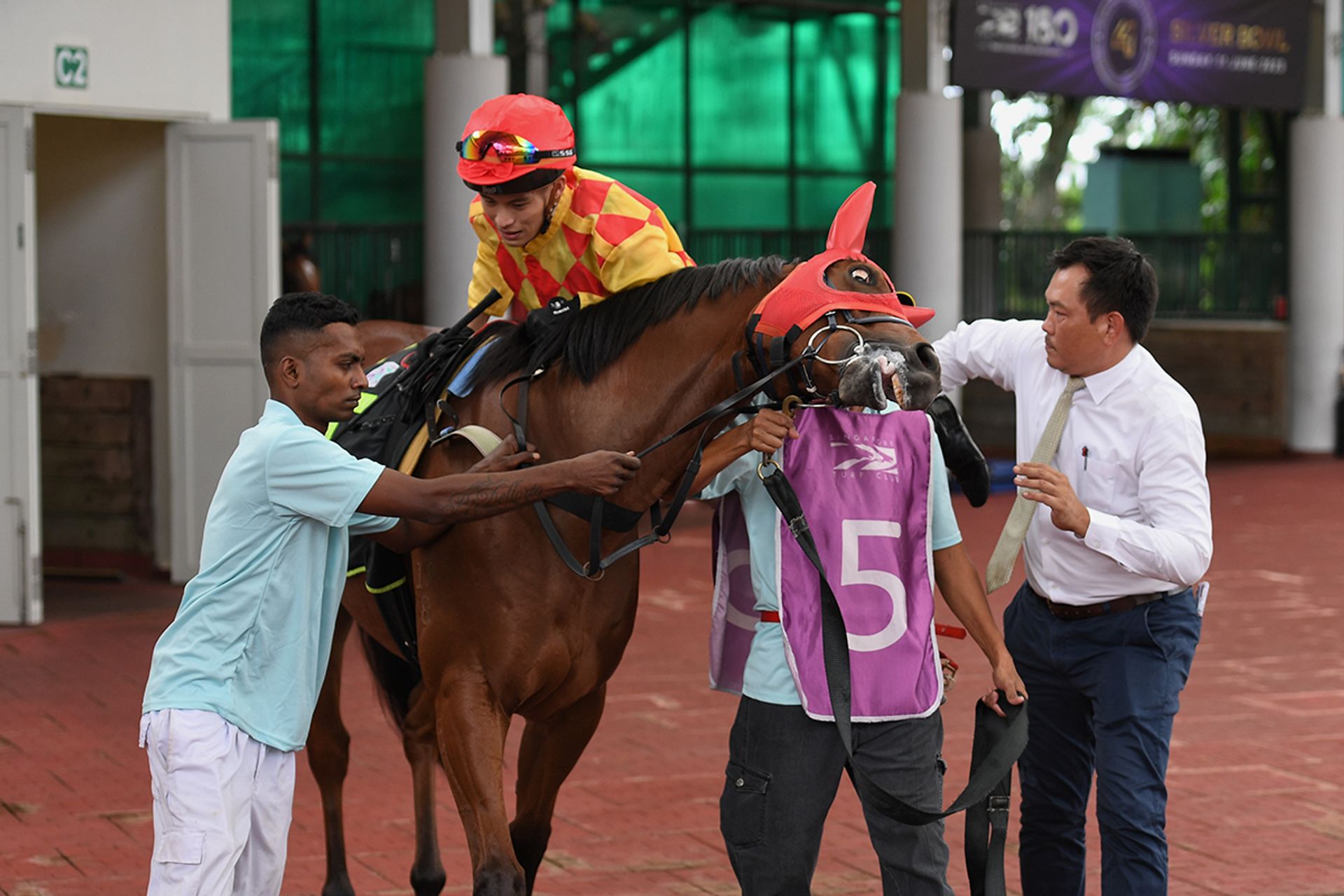 A horse named Gold Legend reacts as jockey Simon Kok climbs on at the parade ring, before heading to the racetrack. ST PHOTO: SHINTARO TAY