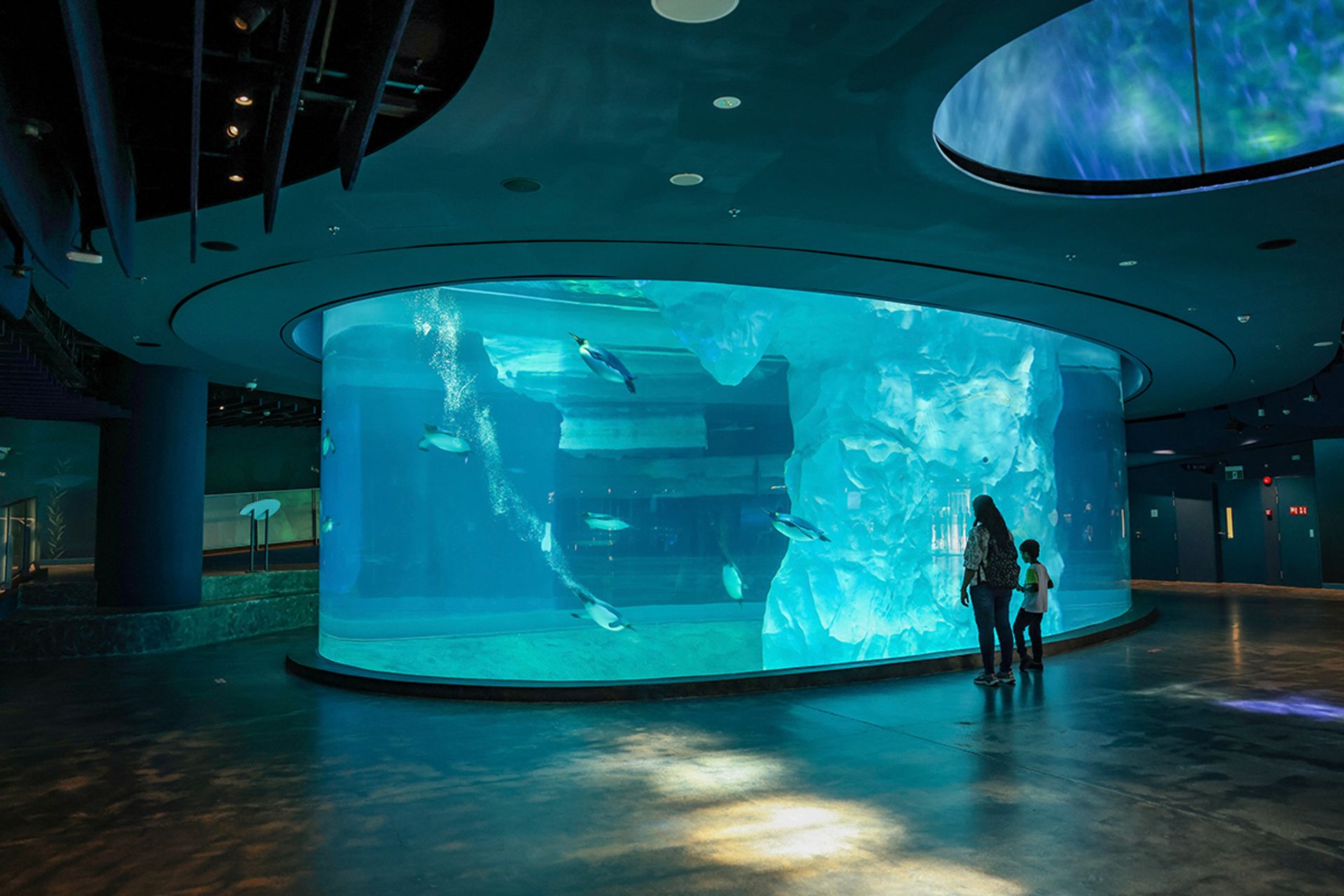 PHOTO: MANDAI WILDLIFE GROUP