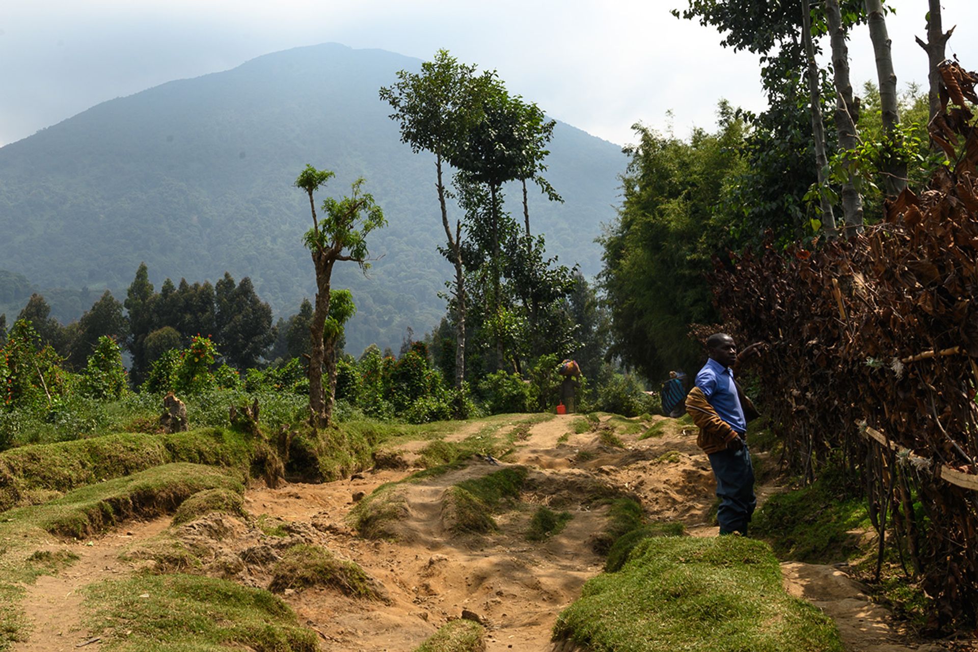Farmer Nitwa Ndayambaje, 40, at a plot of land that belongs to his friend. In the daytime, farmers look out for one another and stand guard over their crops.