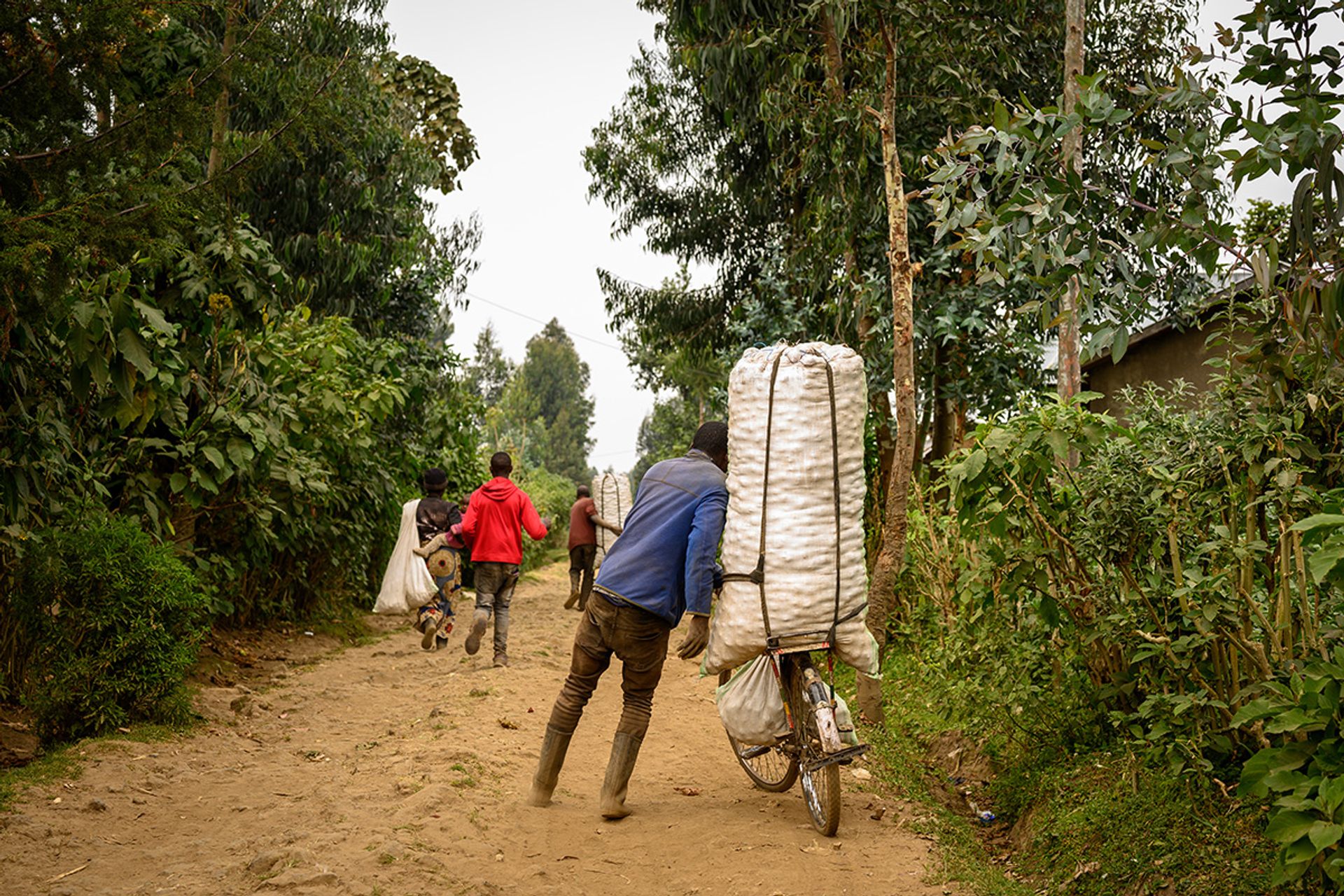 Farmer Isiraheri Tuyizere, 21, and his friend, Mr Jean Damascene, 27, transport potatoes on this road to the village centre. They make about three trips a day.