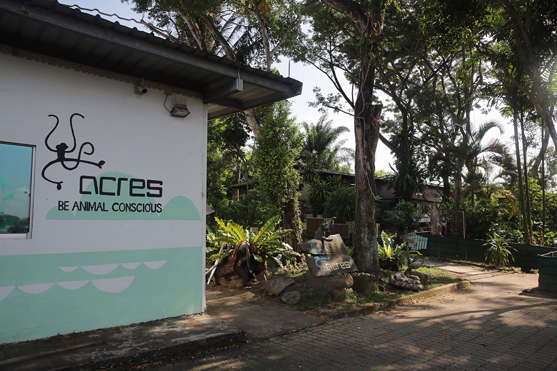 The fortunate ones among abandoned exotic pets have found a home at Acres. ST PHOTO: GIN TAY