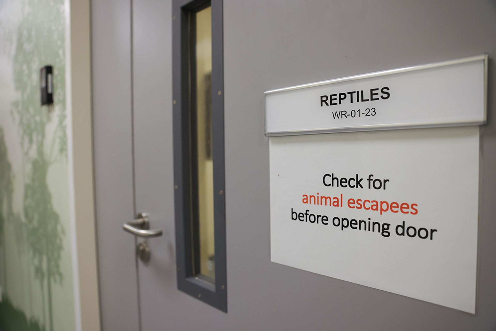 Seized reptiles are taken to the Centre for Wildlife Rehabilitation. ST PHOTO: ONG WEE JIN