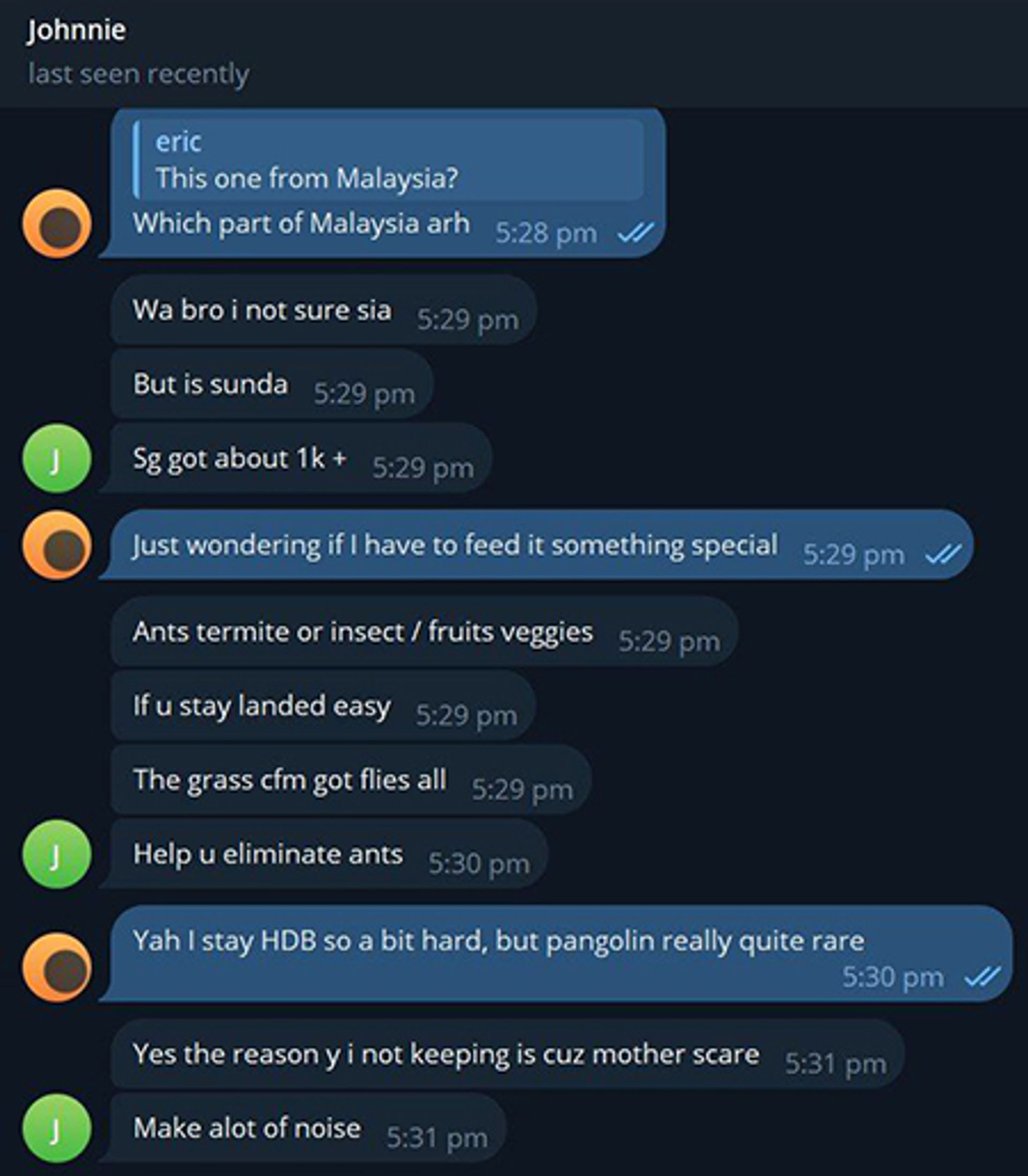 The conversation between this reporter and the pangolin seller called “Johnnie”. PHOTO: SCREENGRAB FROM TELEGRAM