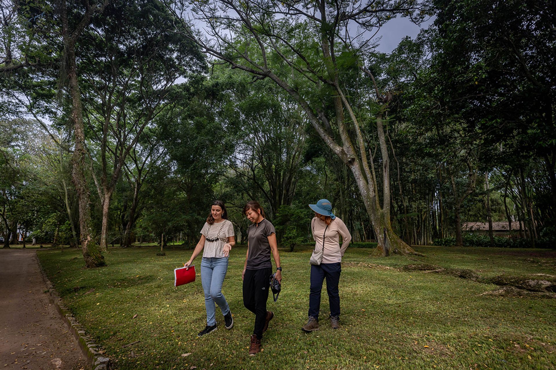 Ms Thais Hidalgo (left), Ms Xue (centre) and Gardens by the Bay’s senior manager of conservatory operations Lee Xiaoyi converse in the Rio de Janeiro Botanical Garden.