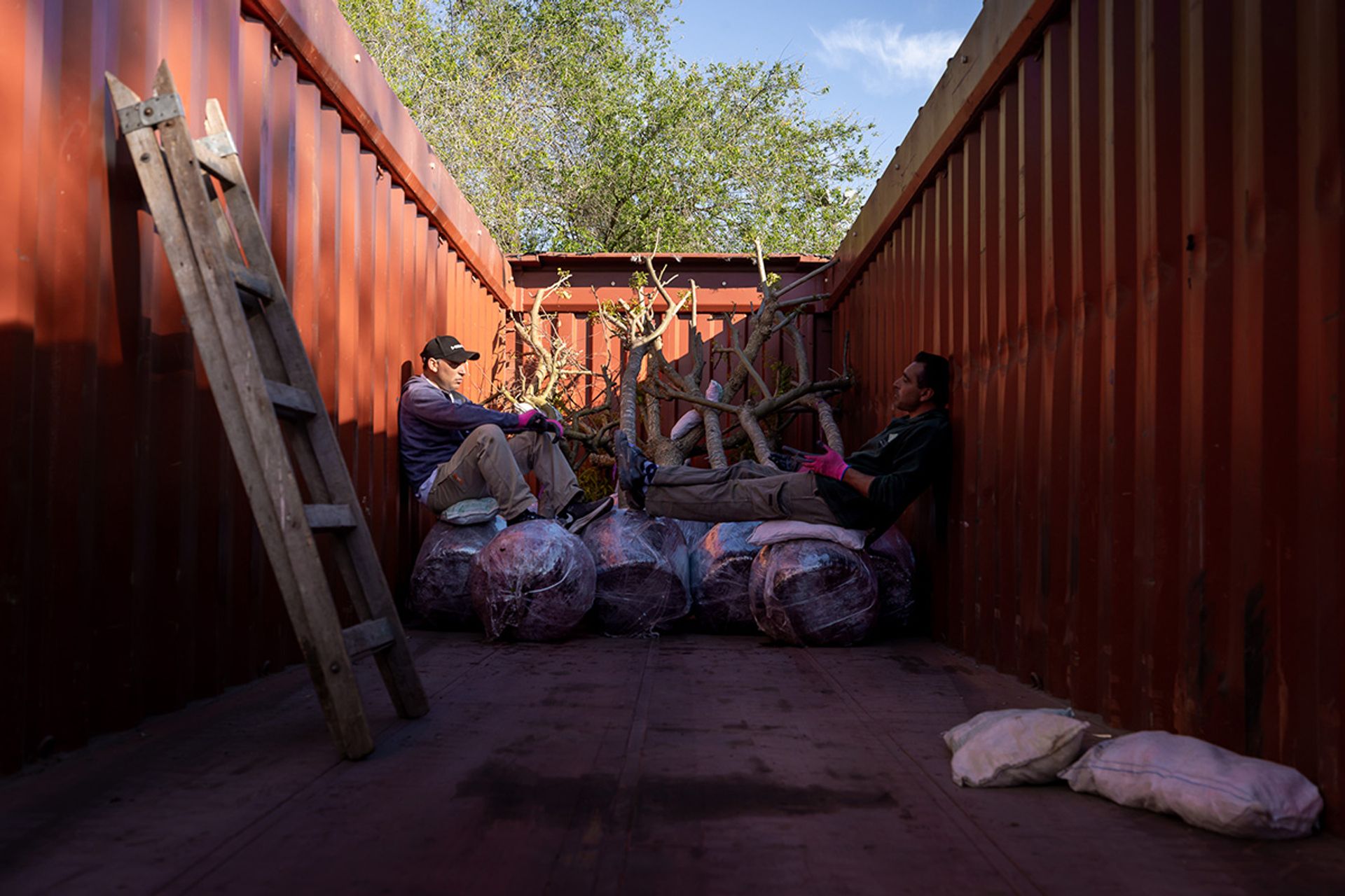 Workers taking a break while loading trees into the open-top container bound for Singapore.