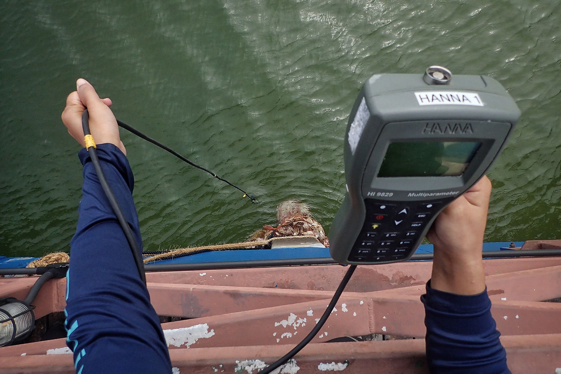 Ecologist Yukie Yokoyama testing the water quality around the reef bags near Changi Sailing Club, on Feb 7, 2024.