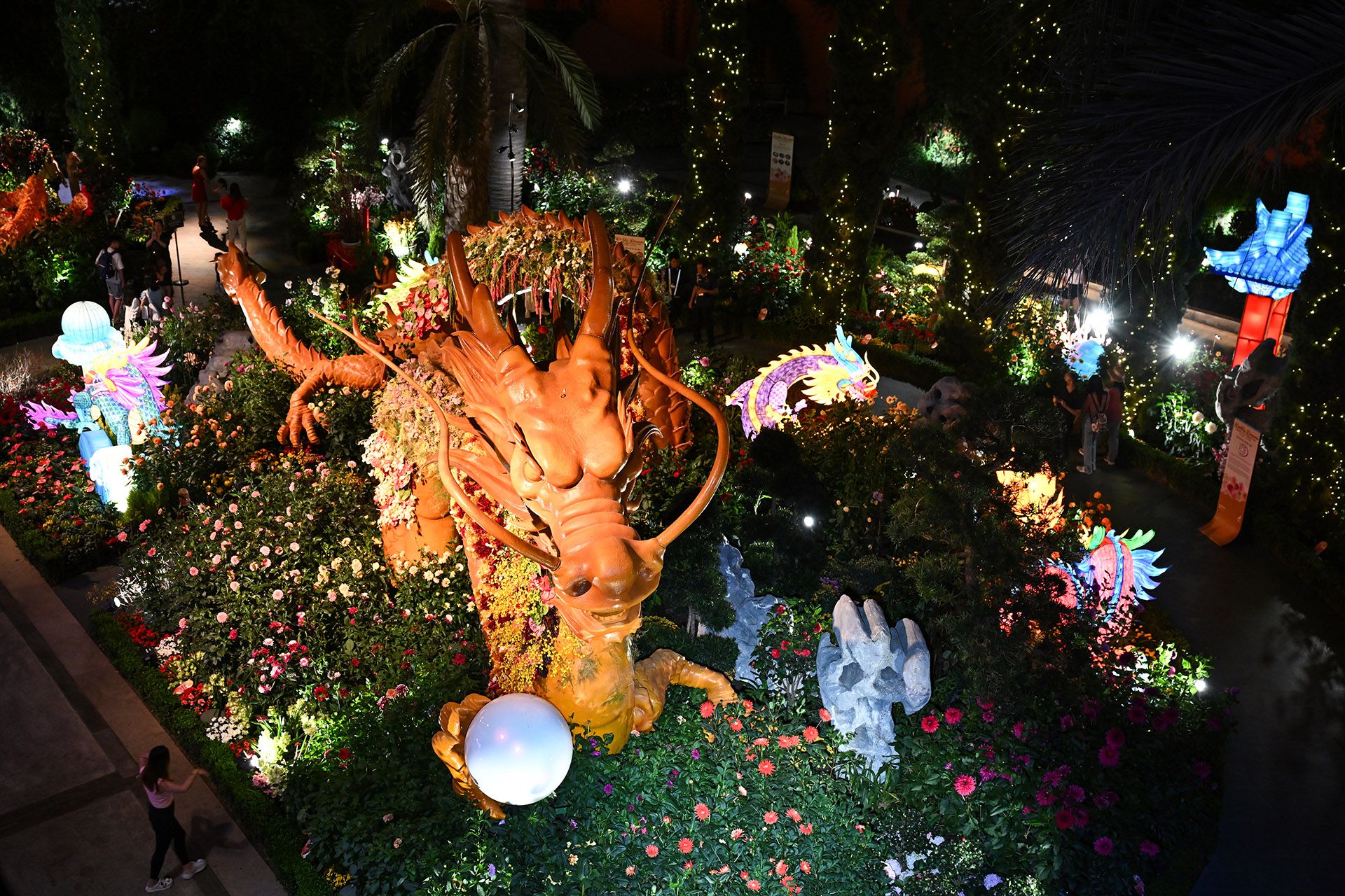 In commemoration of the Year of the Wood Dragon, a 7m-tall dragon that reaches the height of two storey and stretches 15m takes pride of place amid 1,000 dahlias of 40 varieties in the centre of the Flower Dome. ST PHOTO: LIM YAOHUI
