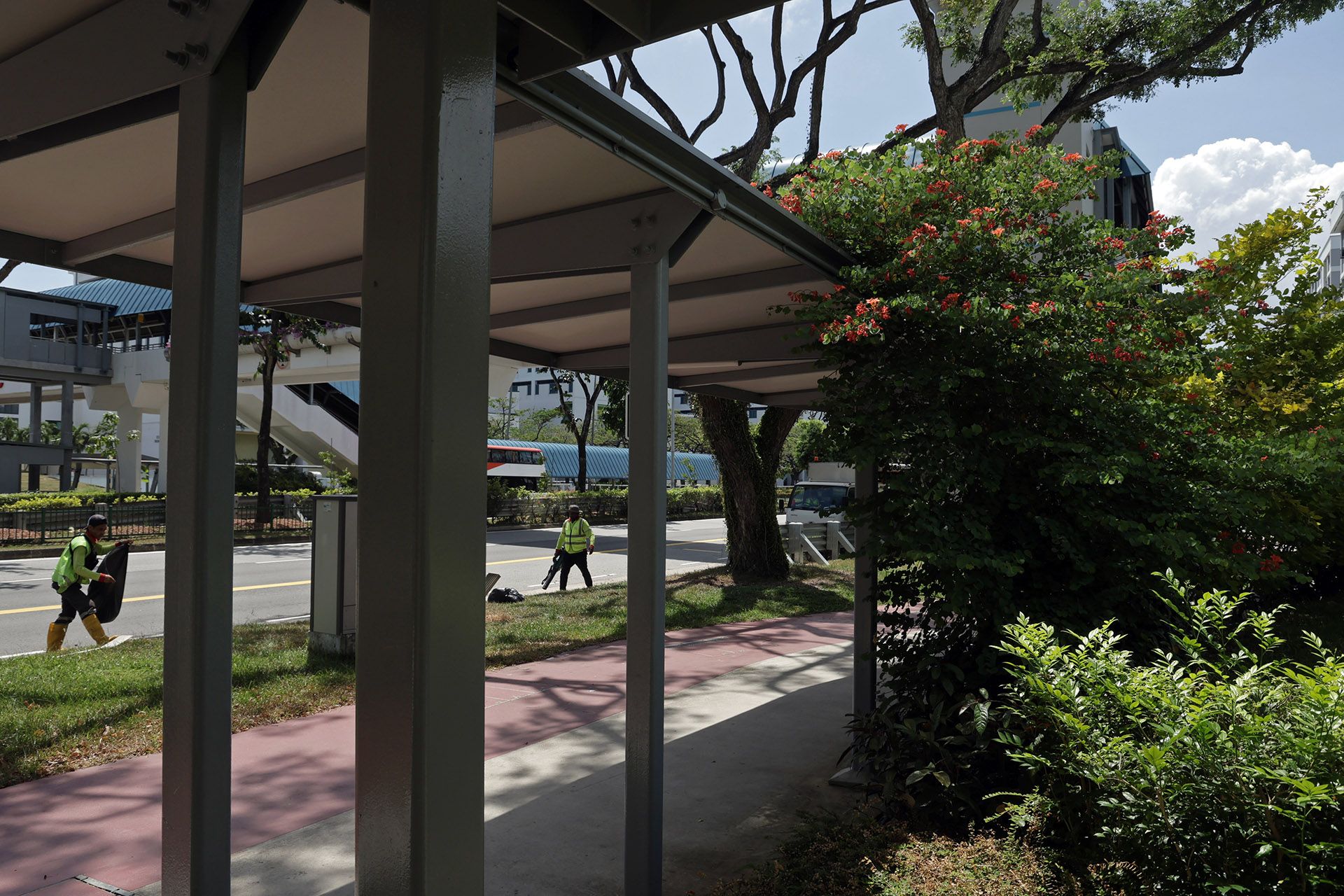 A Bauhinia galpinii seen in Tampines Avenue 1 opposite Temasek Polytechnic on March 1. ST PHOTO: NEO XIAOBIN