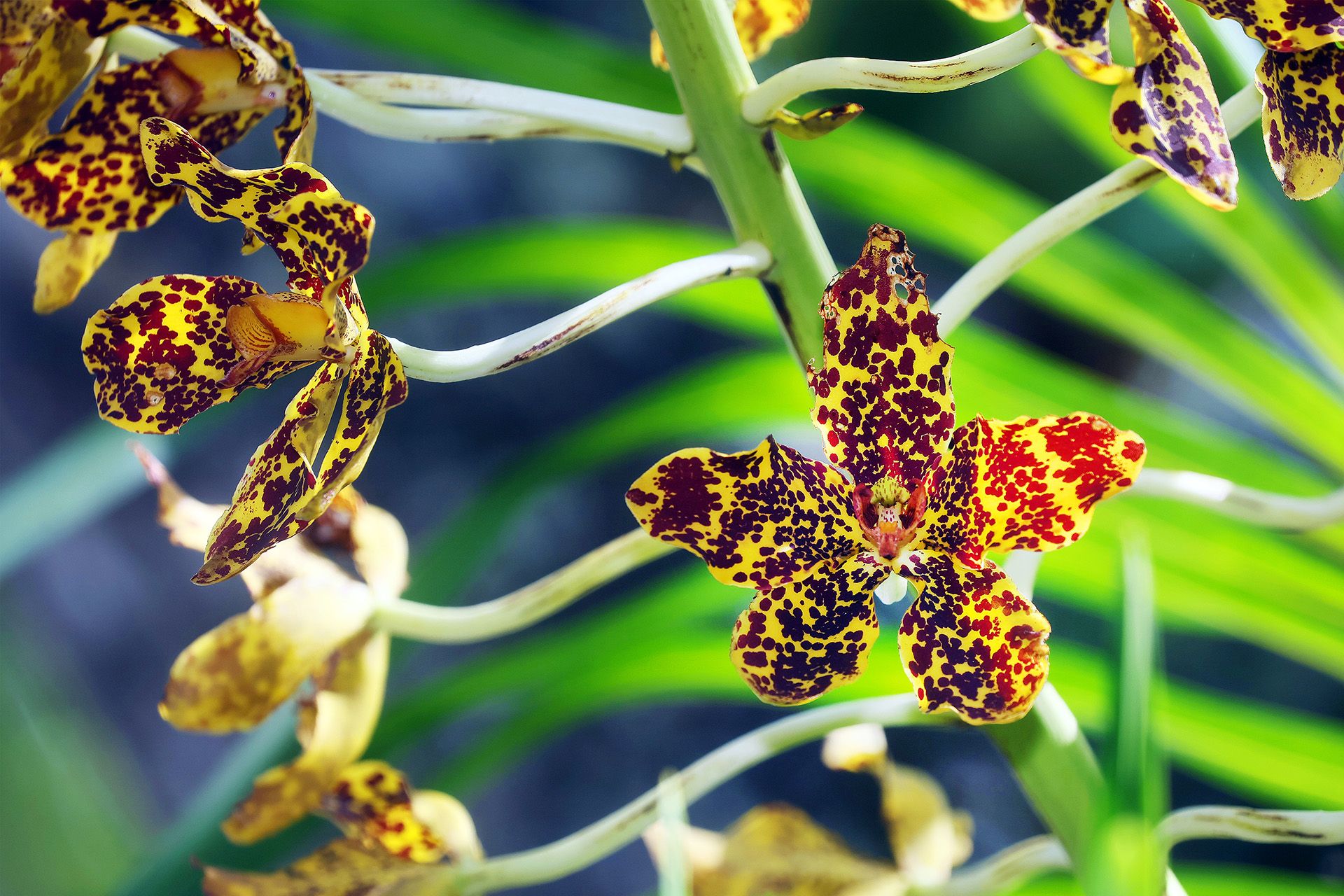 ST PHOTO: KELVIN CHNG