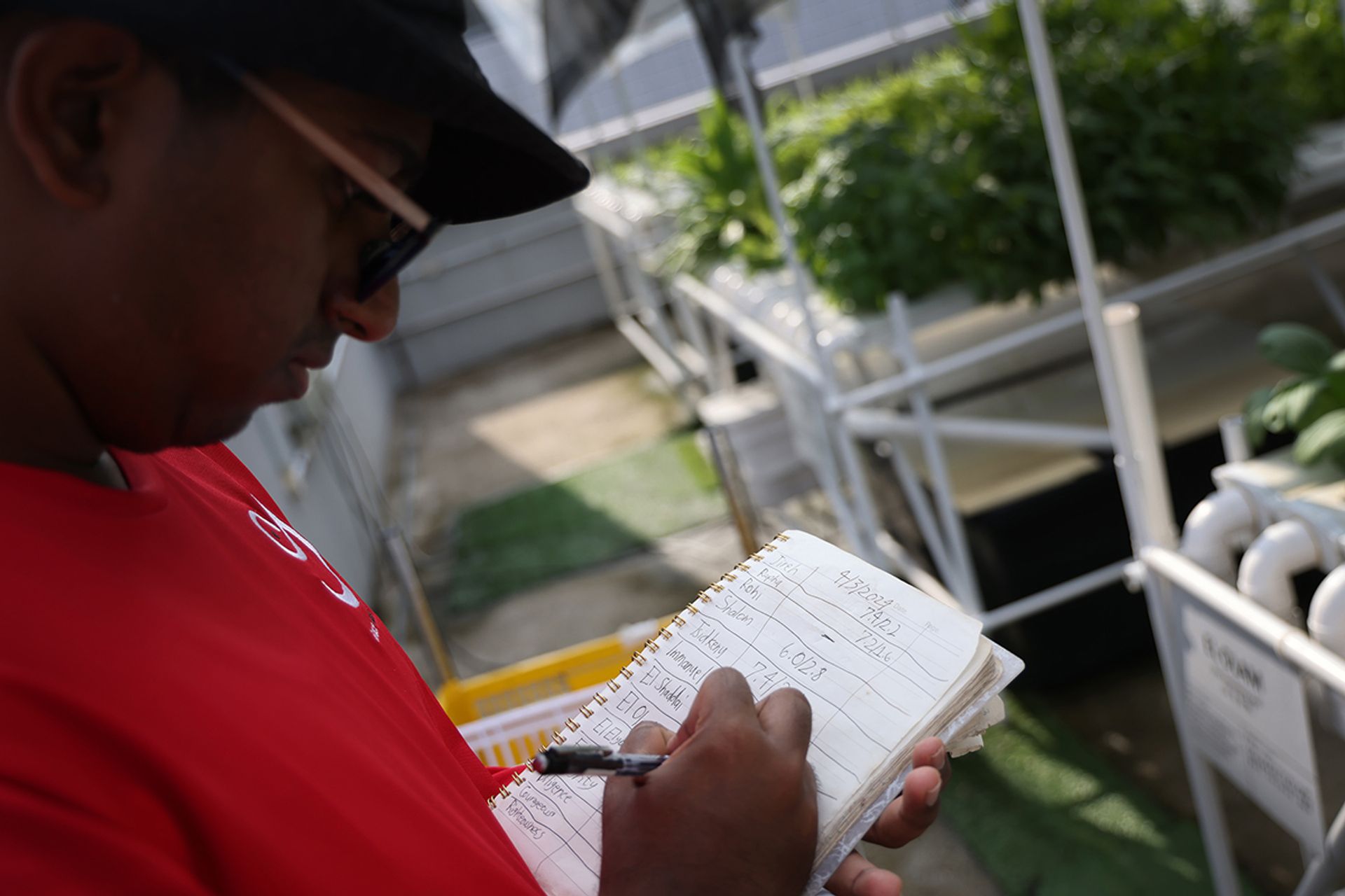 Mr Arunkumar conducting pH tests on the hydroponics system in March. "This is my first job. I find it fun and would like to come back after I study," said the Singapore Institute of Management student.