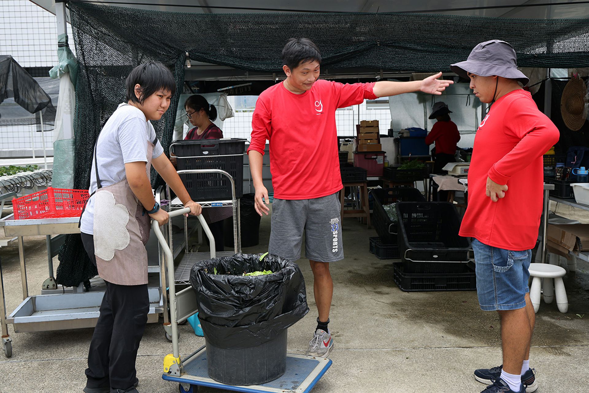 Mr Raffles Ling (centre) giving instructions to Ms Alethea Lew and Mr Tan Cher Xuan at the farm in March.