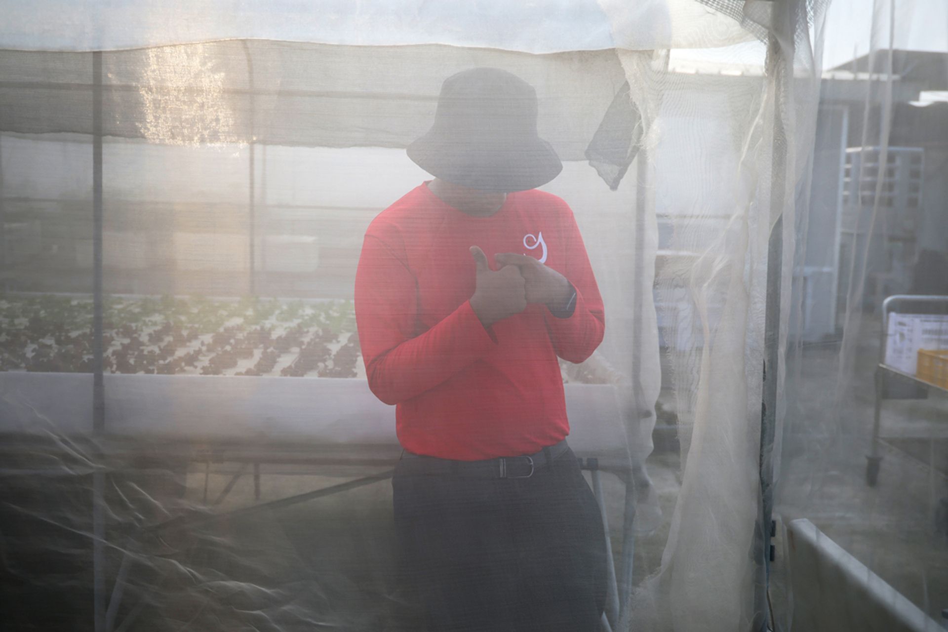 Mr Arunkumar Ashwin at the farm in March.