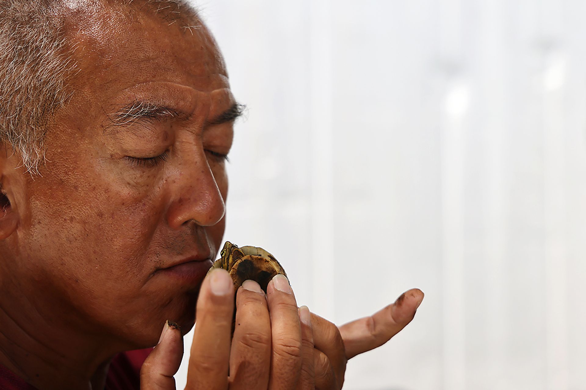 Pastor Andrew Choo holding a terrapin at the farm in March. He believes in the therapeutic effect of nature.