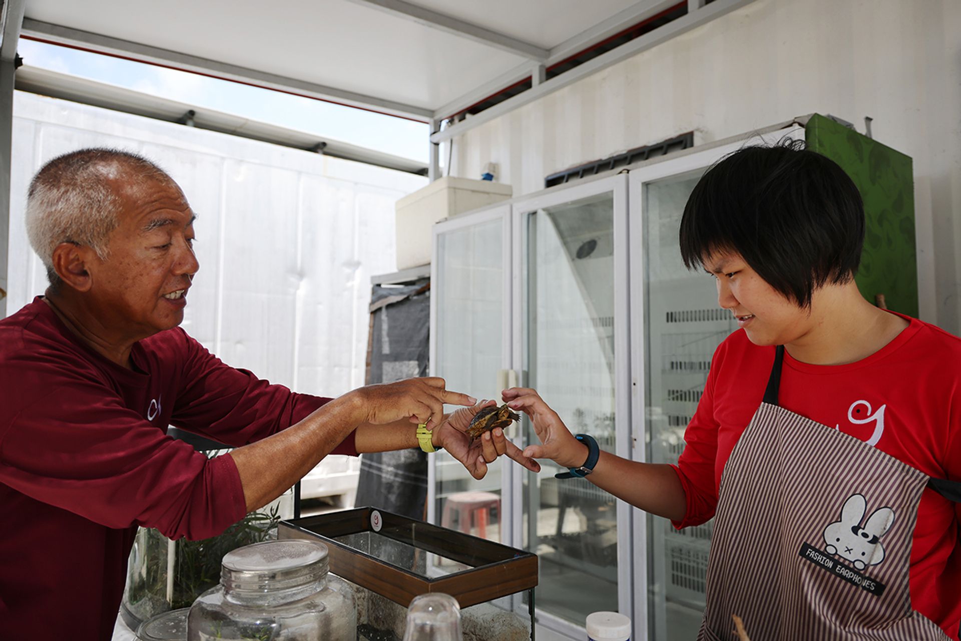 Pastor Choo encouraging Ms Alethea Lew to touch a terrapin at the farm in March.