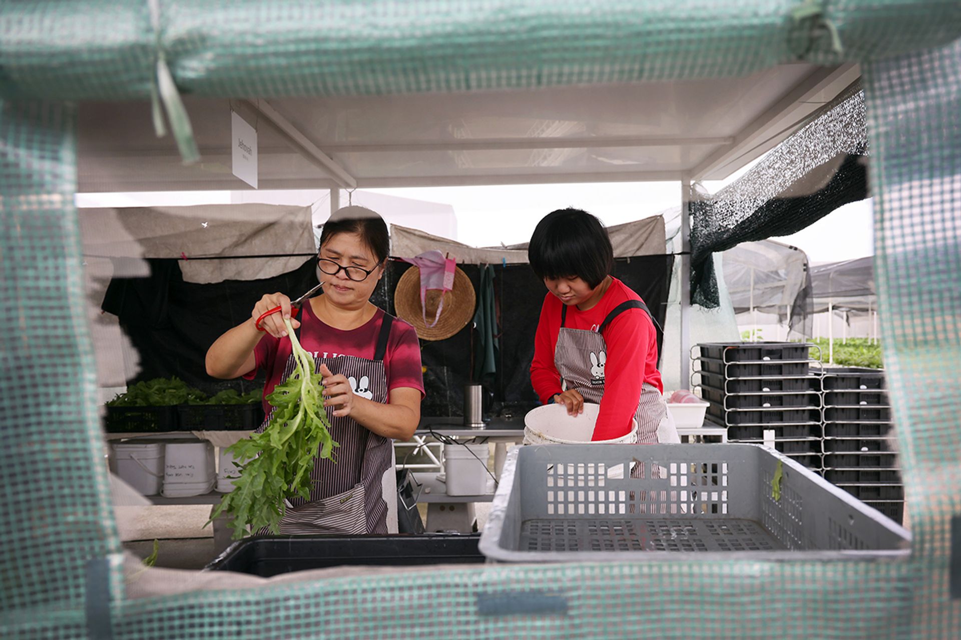 Madam Thun working alongside her daughter in March.