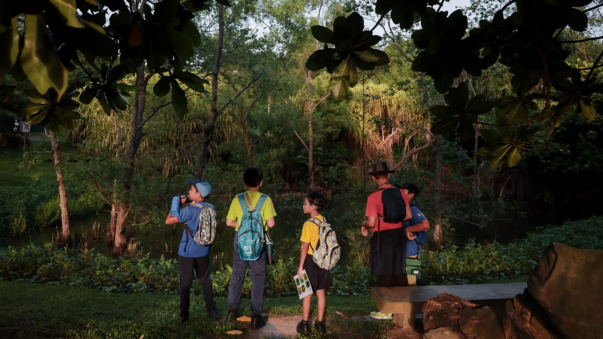 Yumin Primary School pupils looking for wildlife in Pasir Ris Park.