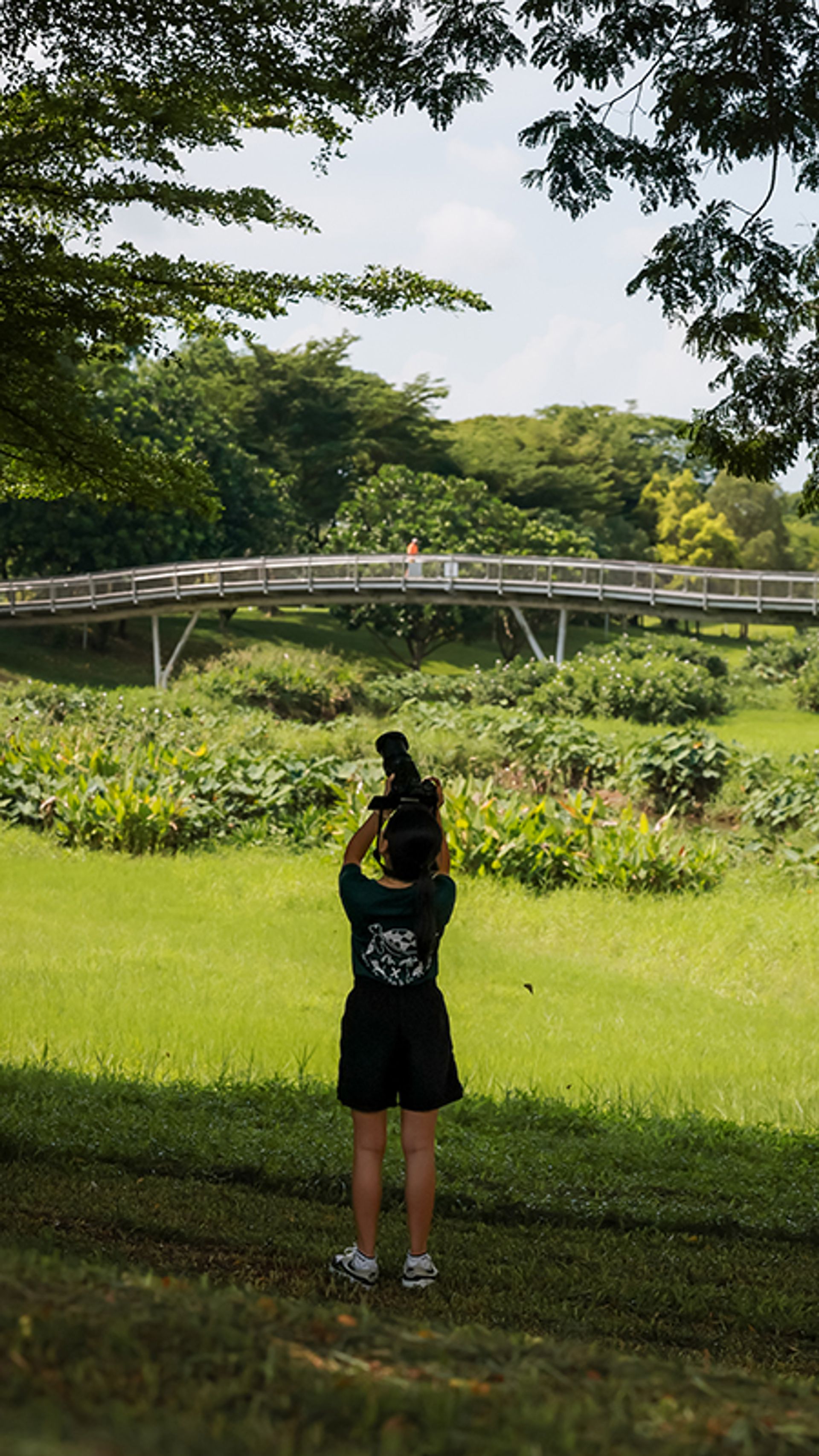Yishun Town Secondary’s Sheryl Lim, 14, taking pictures of wildlife in Bishan-Ang Mo Kio Park.